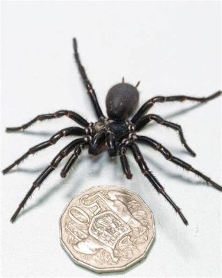  Faint-Hearted Readers Beware! A Deep Dive into the World of the Funnel-Web Spider