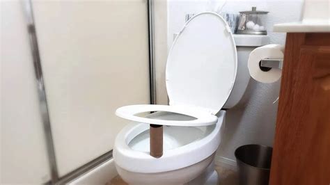 Why Put a Roll of Toilet Paper Under the Seat at Night and What It Reveals About the Universe